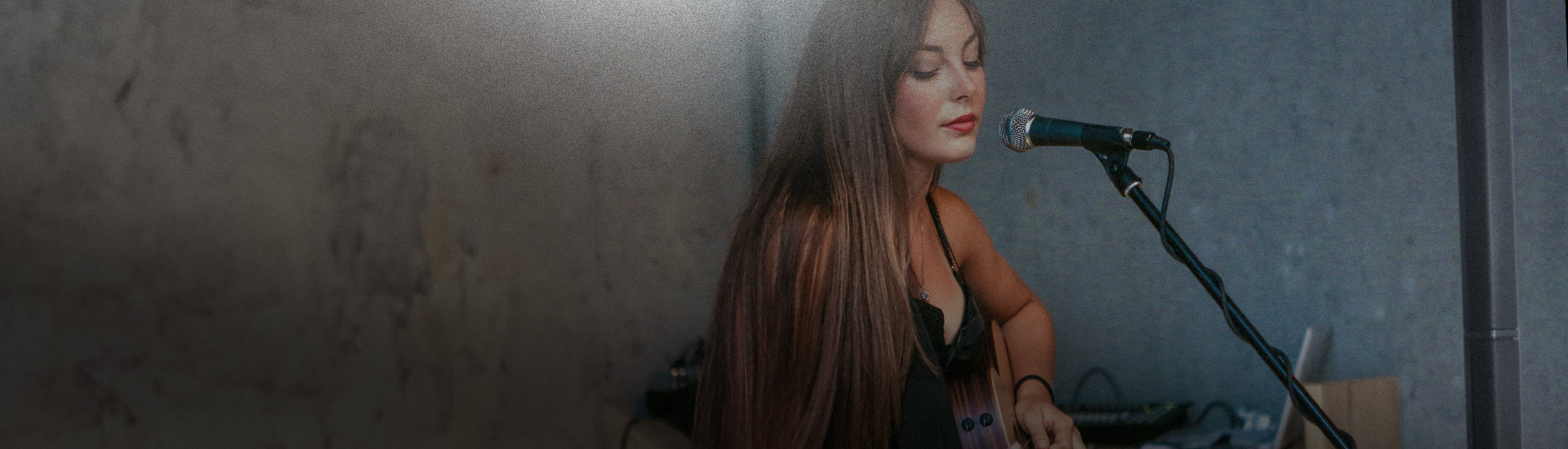 Harbinger Pro Audio Line Array MLS900 On Photo Background