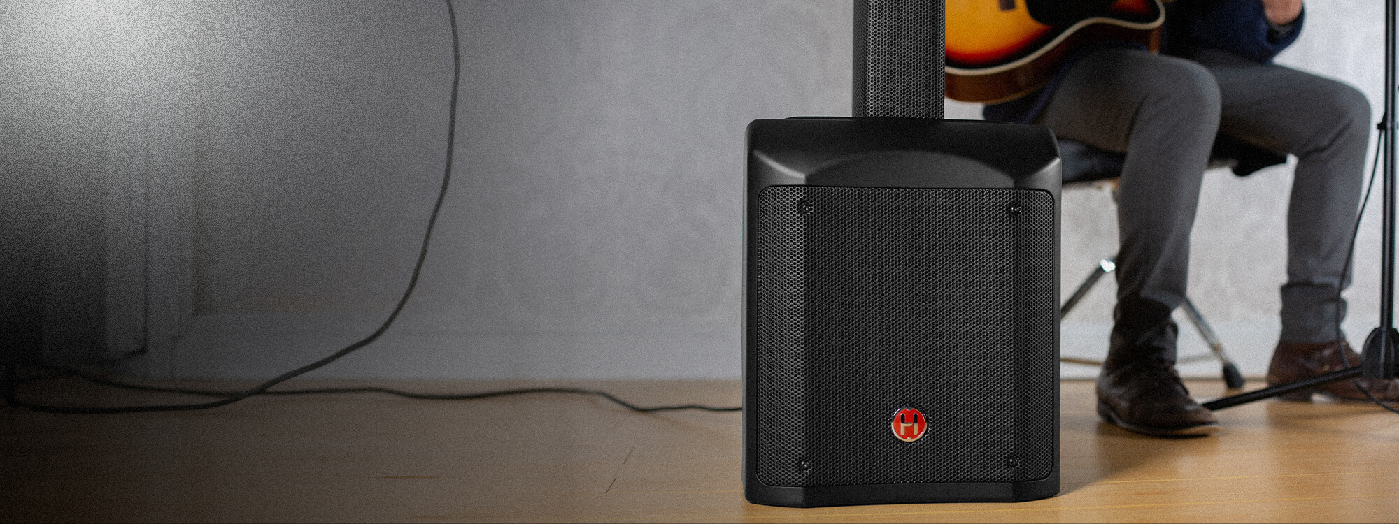 Harbinger Pro Audio Line Array MLS900 With Guitarist