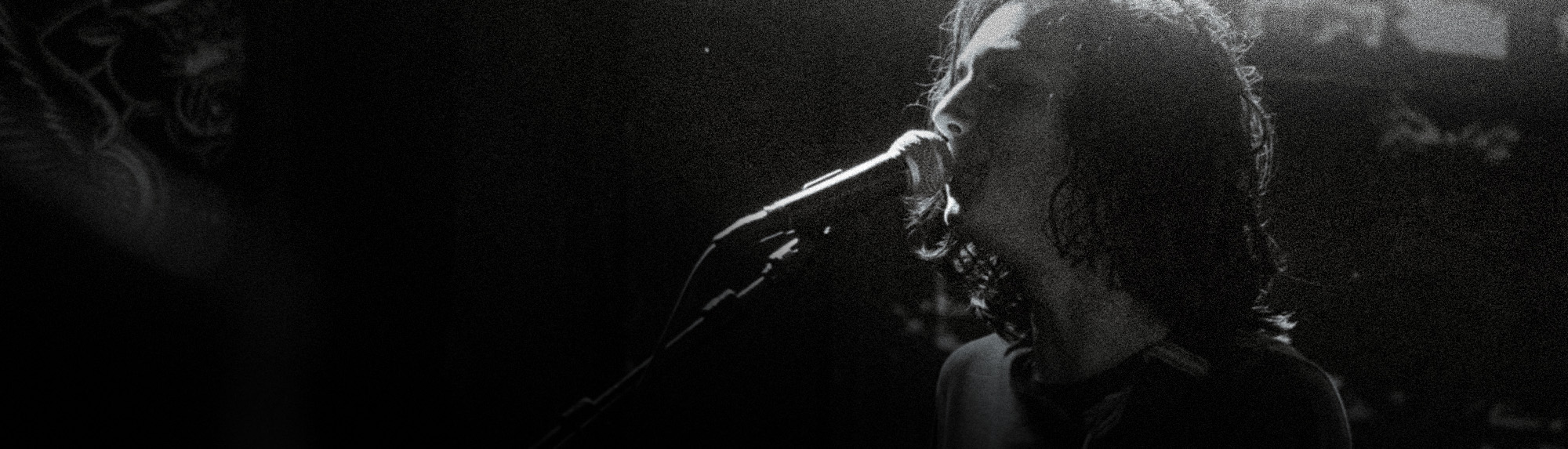 Harbinger Pro Audio Musician With Microphone Singing