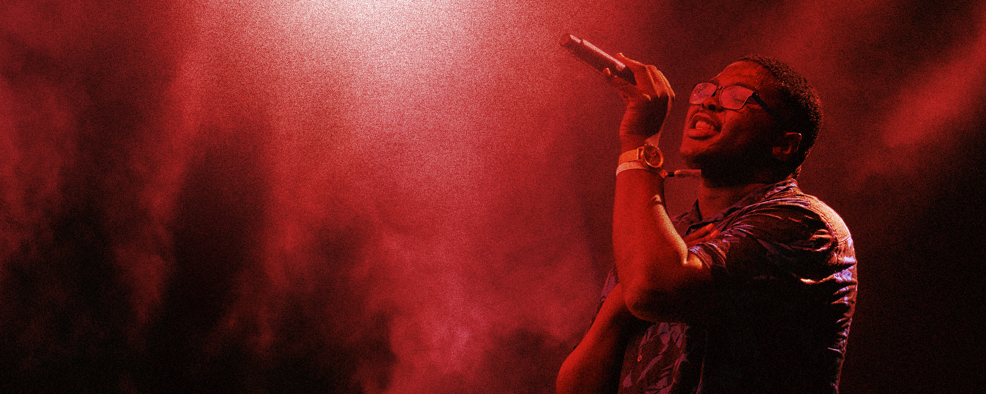 Harbinger Pro Audio Singer With Stage Fog