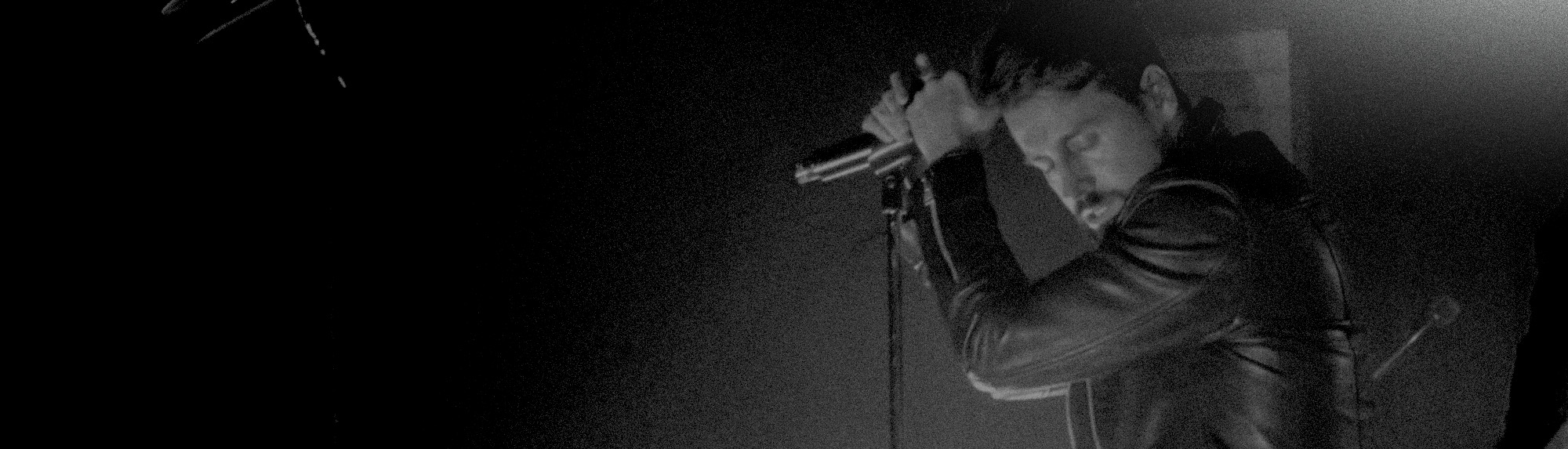 Harbinger Pro Audio Singer with Microphone