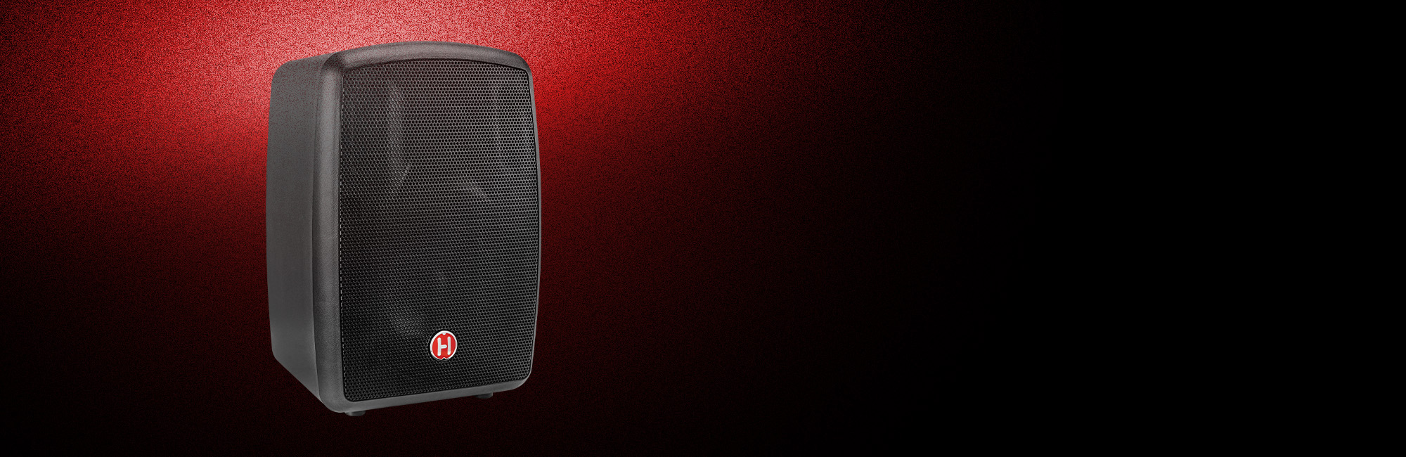 Pro Audio RT100 Battery Powered Speakers