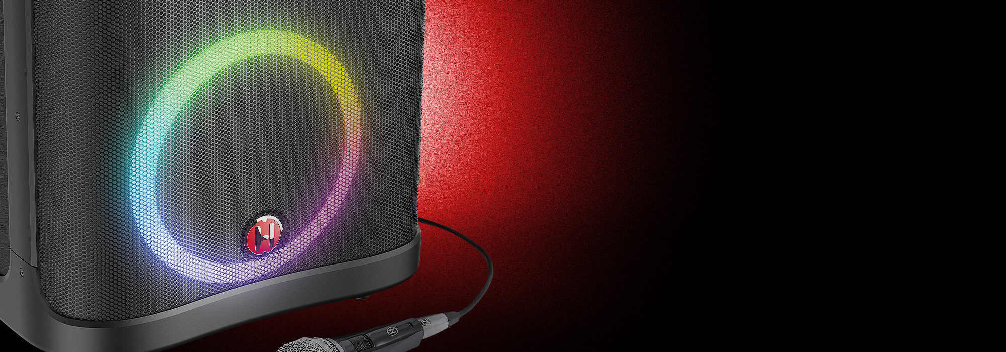 Pro Audio RT100 Battery Powered Speakers closeup with wired microphone