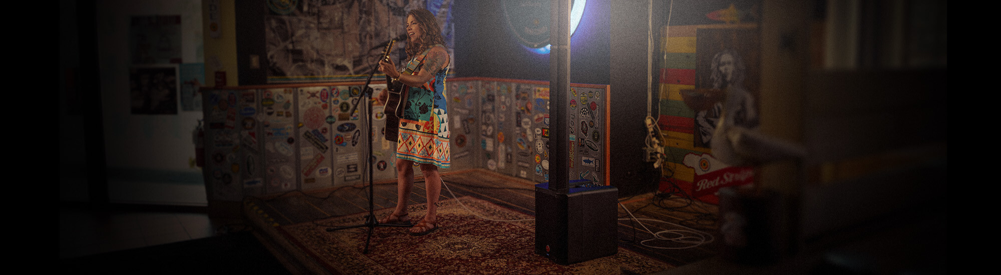 Harbinger Pro Audio Line Array MLS Female Acoustic Performance